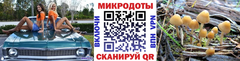 дарнет шоп  Карабаново  Галлюциногенные грибы Magic Shrooms 
